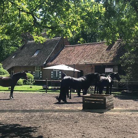 De Swaenhoeve Zoersel Екстериор снимка