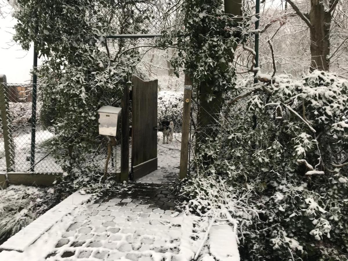 De Swaenhoeve Zoersel Екстериор снимка