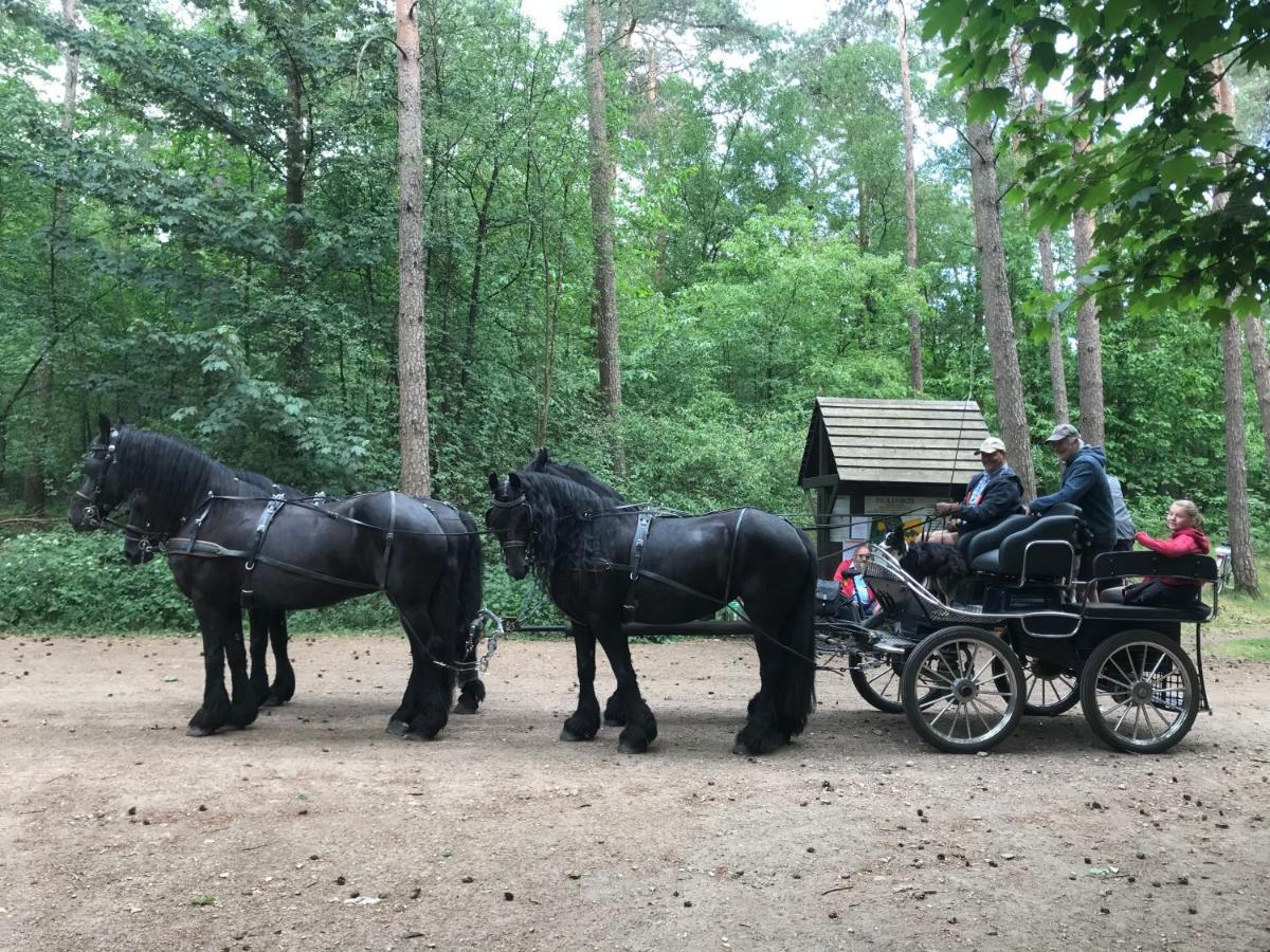 De Swaenhoeve Zoersel Екстериор снимка